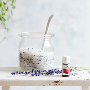 Lavendel Bio